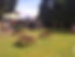 025534_8.jpg